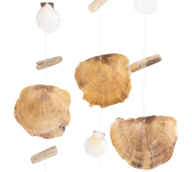 Schelpen wandhanger perzik naturel 80 cm decoratie