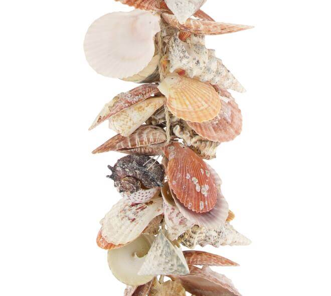 Schelpen slinger multi naturel 80 cm decoratie