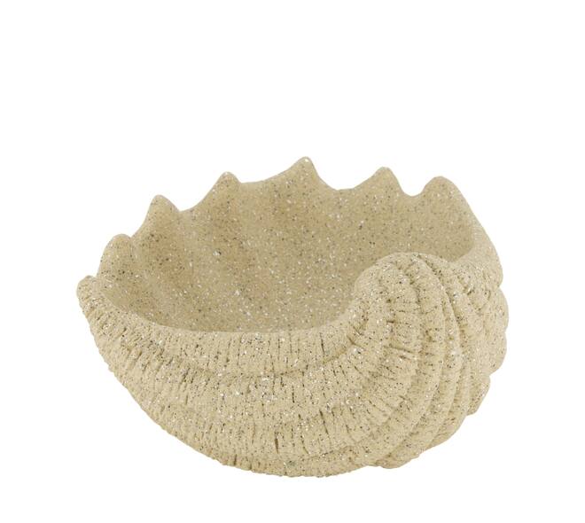 Schelp schaal polyresin lichtbruin decoratief 24 cm