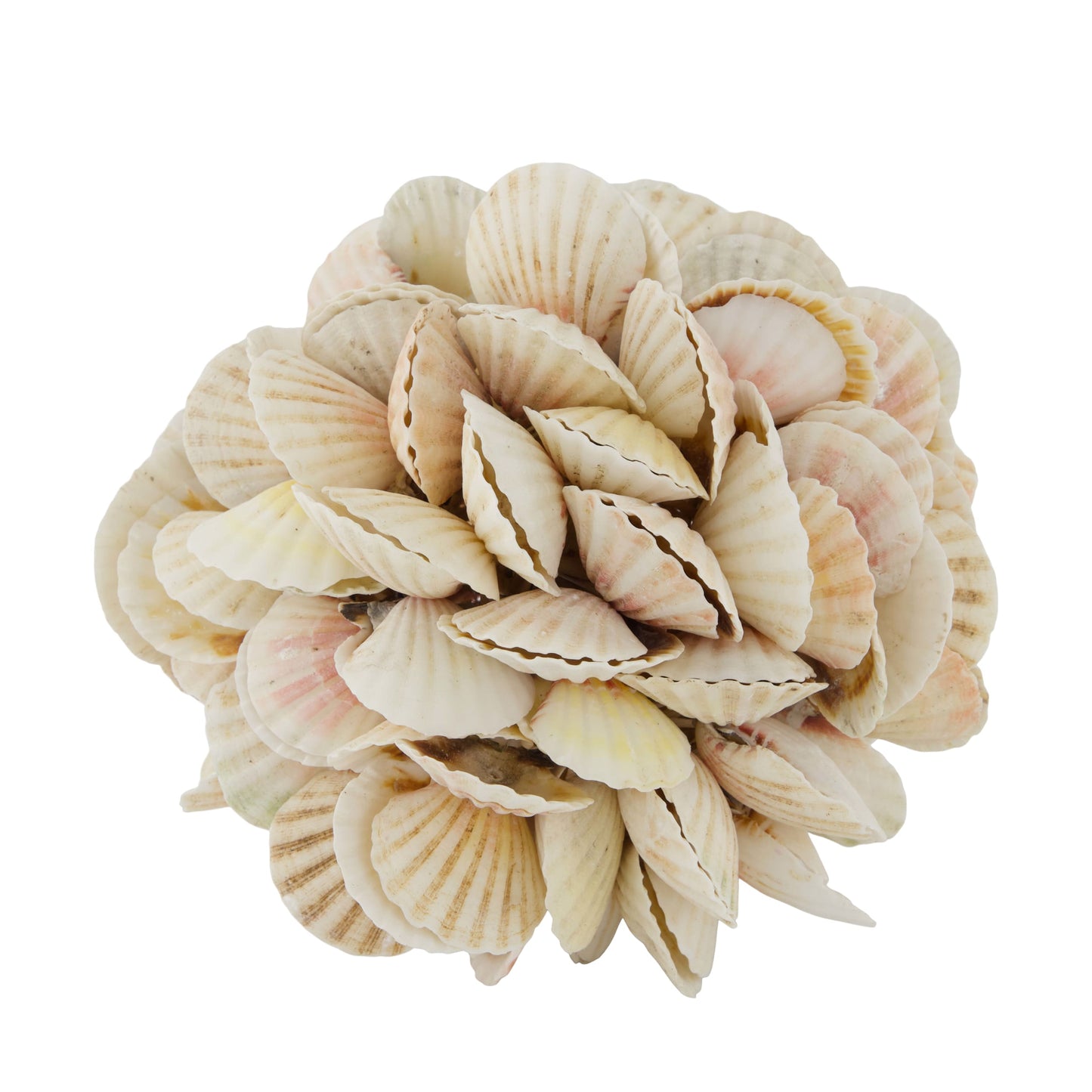 Schelpen bal naturel decoratieve bol 20 cm