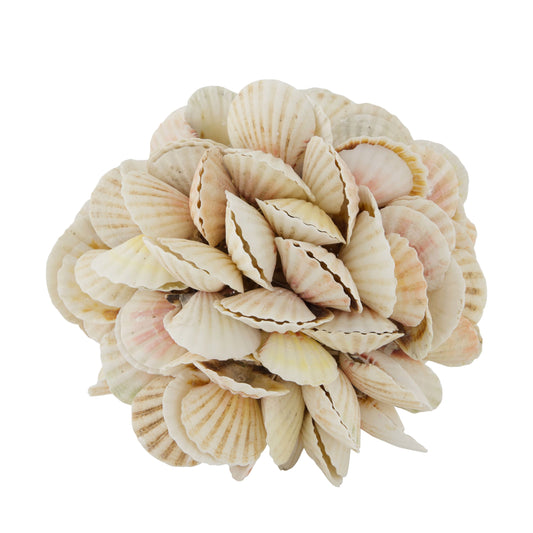 Schelpen bal naturel decoratieve bol 20 cm