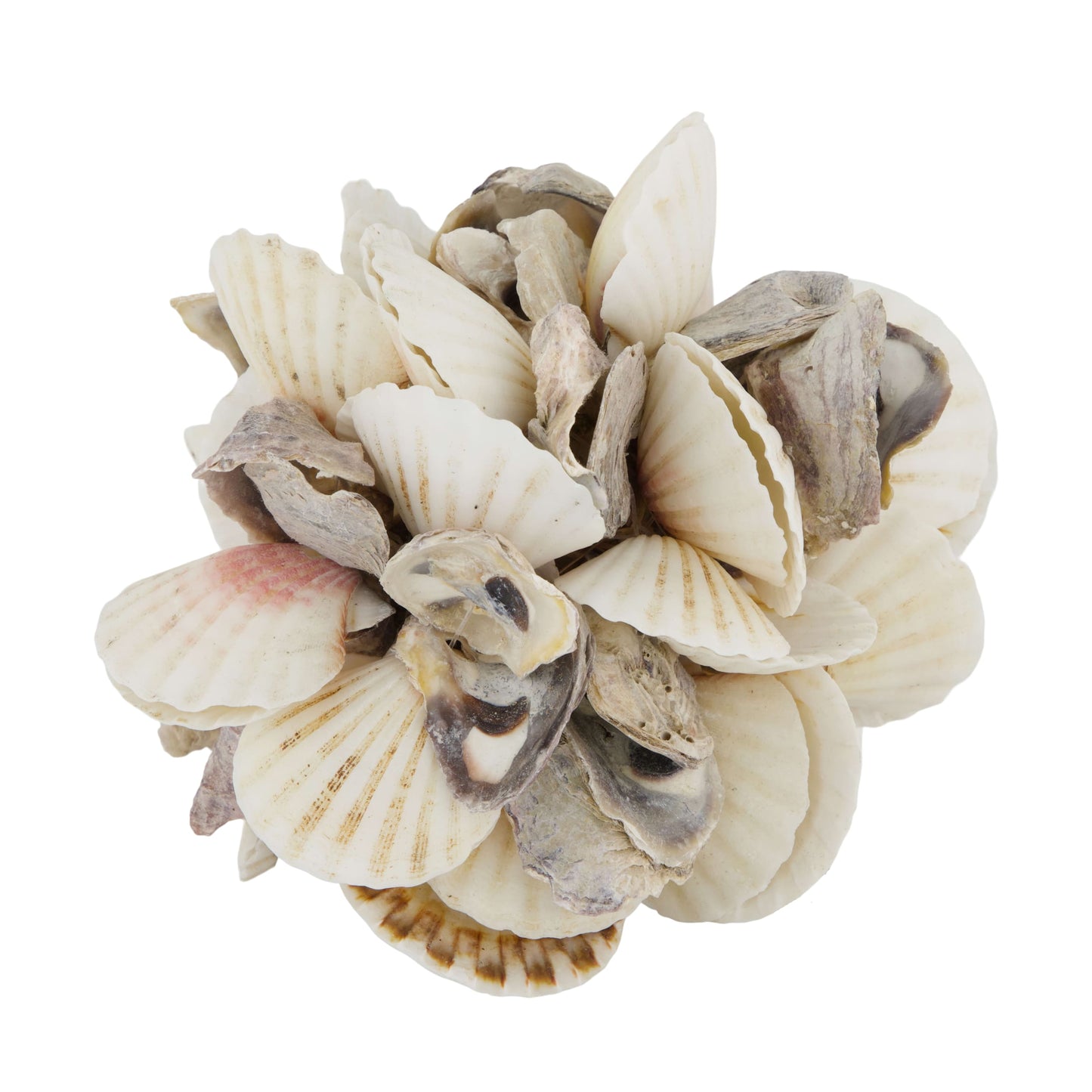 Schelpen bal naturel decoratieve bol van schelpen