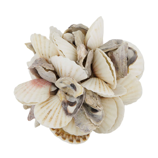 Schelpen bal naturel decoratieve bol van schelpen