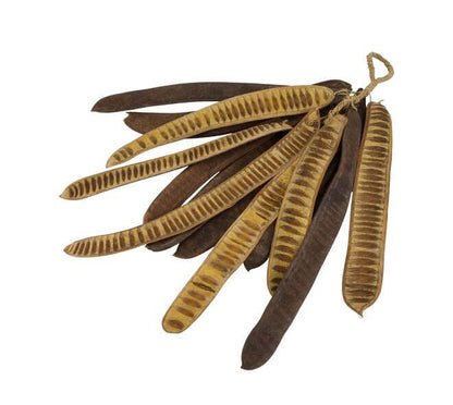 Hanger Step Fruit naturel 75 cm decoratieve wandhanger