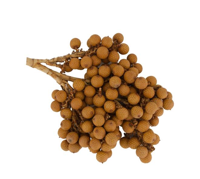Decoratieve rotan tak naturel 20 cm