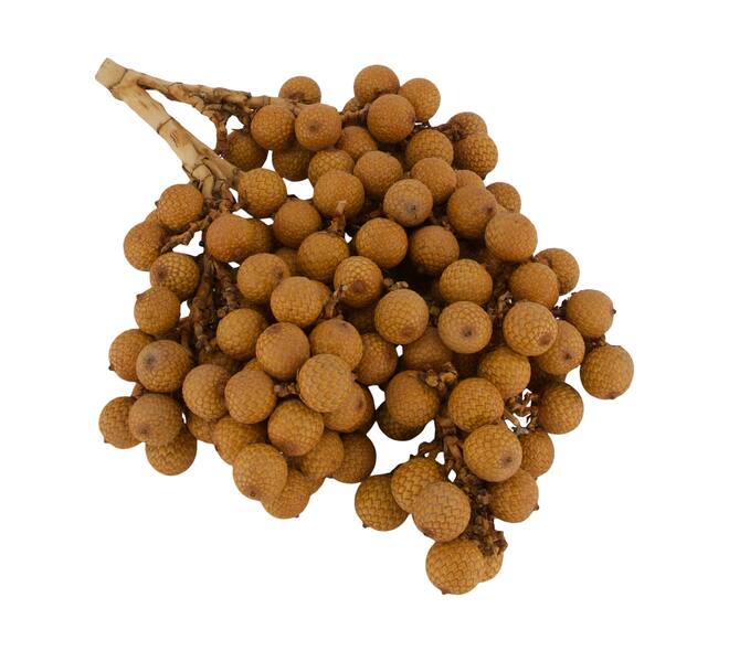 Decoratieve rotan tak naturel 20 cm
