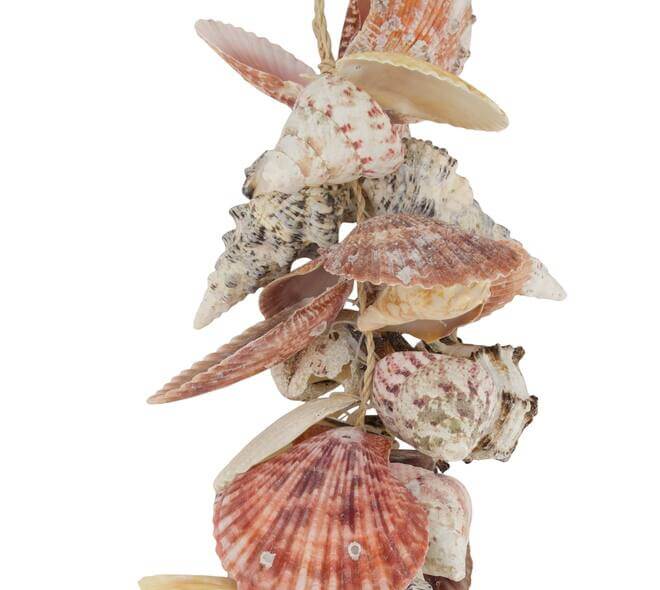 Schelpen slinger multi naturel 40 cm decoratie