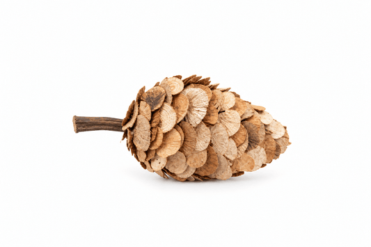 Decoratieve dennenappel naturel - Youna Label